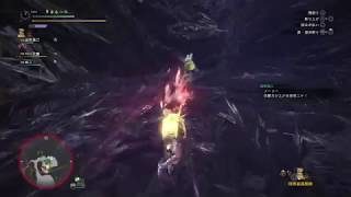 モンスターハンター：ワールド、大剣初心者が行くネルギガンテ