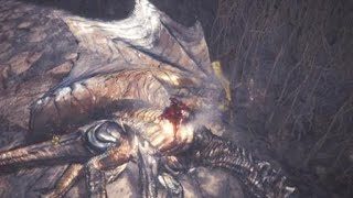 【モンスターハンター：ワールド】歴戦王クシャルダオラVSドラケンレンジャー！