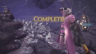 モンスターハンター：ワールド　極ベヒーモス討滅戦