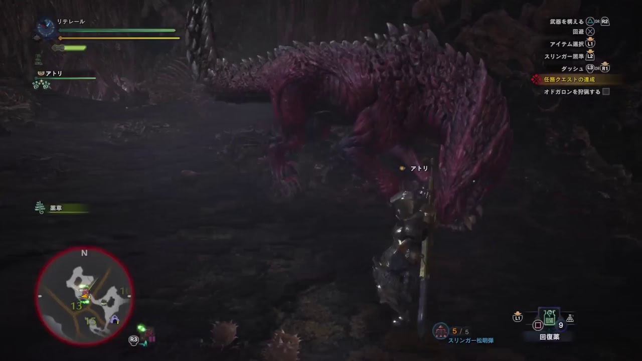 モンスターハンターワールド　31