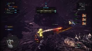 モンスターハンター：ワールド_20180901042702