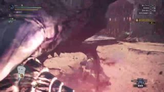 ［MHW］気長にHR上げ　#MHW #モンスターハンターワールド