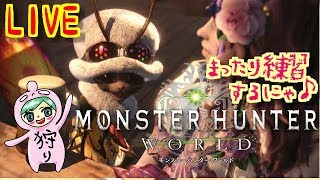 モンスターハンター：ワールド！ヘビィ担いで遊ぶ♪誰でも歓迎！Monster Hunter World