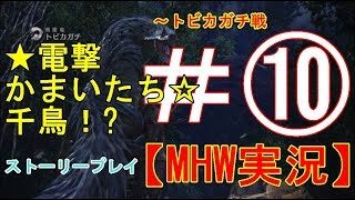 #10【PS4】Monster Hunter: Worldモンスターハンターワールド【MHW】実況プレイ