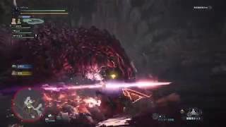 リディムのモンスターハンターワールド　改心率と女子力の高い武器で１狩り行こう☆