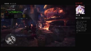 相方とモンスターハンターワールド