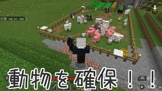 ♯20　豚や牛を確保！！『マインクラフト(minecraft)』セザキングのゲームライブ ストリーム