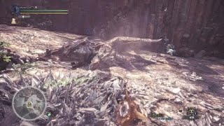 モンスターハンター：ワールド　歴戦クシャルダオラ　カップ麺と少し