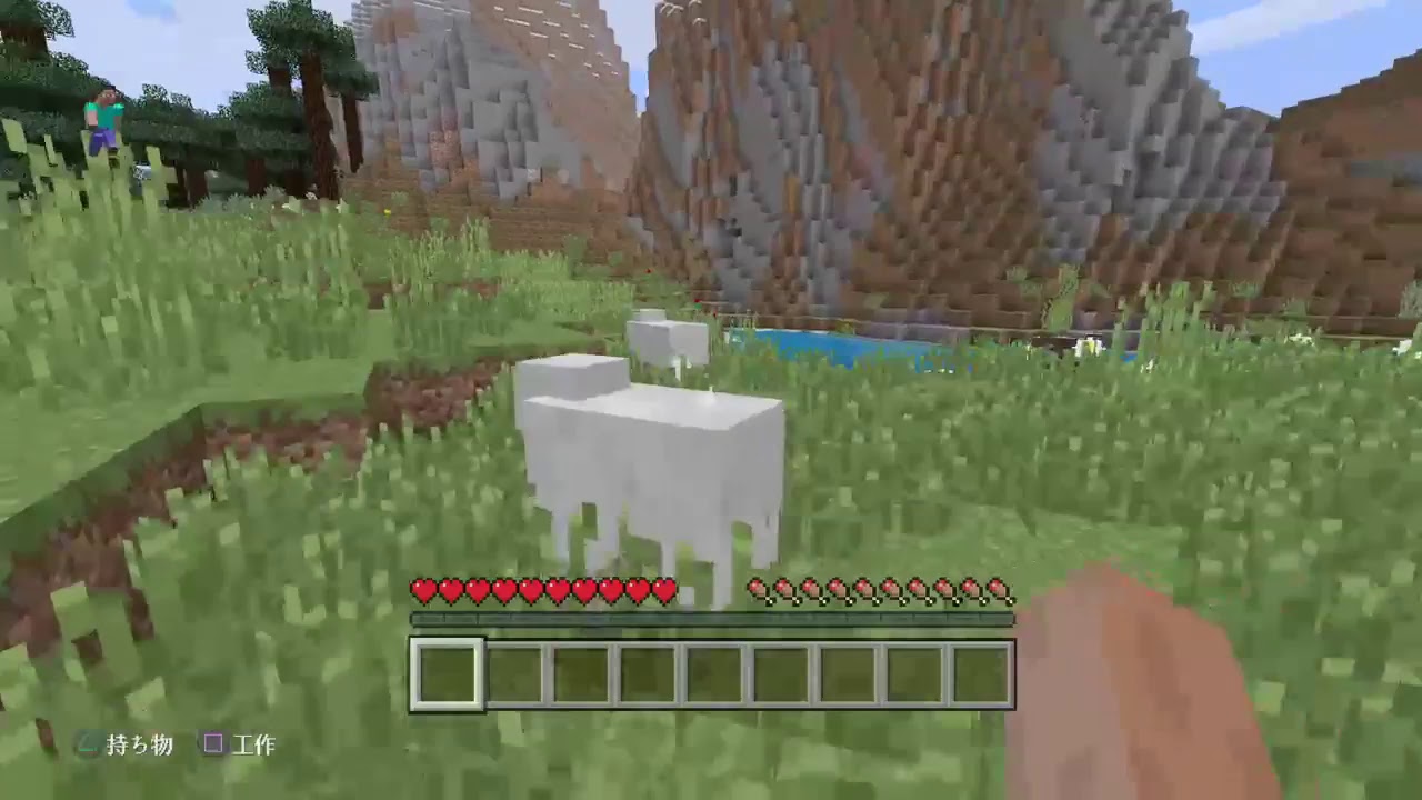 マインクラフトライブやるぞーーーーーーーーーーーーーーーーーーーーーーーーーーー