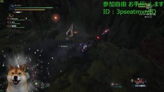 【PC版】モンスターハンターワールド MHW アステラ祭