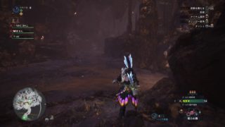 モンスターハンター：ワールド_20180930211225