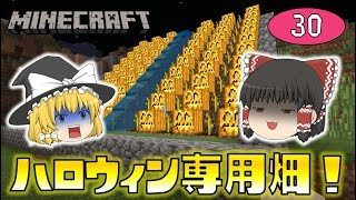 【Minecraft】ハロウィン用！ジャックオランタンの畑！ゆっくり達のマインクラフト part30
