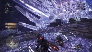 モンスターハンター：ワールド_20181027131029