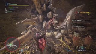 モンスターハンター：ワールド_ラドバルキン