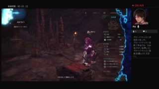 MHW　モンスターハンターワールド　歴戦王ナナ太刀ソロ　7分切り目指して