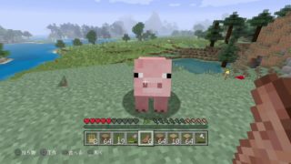 雑談しながらまったり作業[マインクラフト]