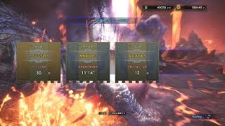 モンスターハンター：ワールド_ナナ歴戦王