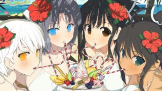 17号とガンダッシュみやびちゃんが逝く！ドラゴンボールファイターズ