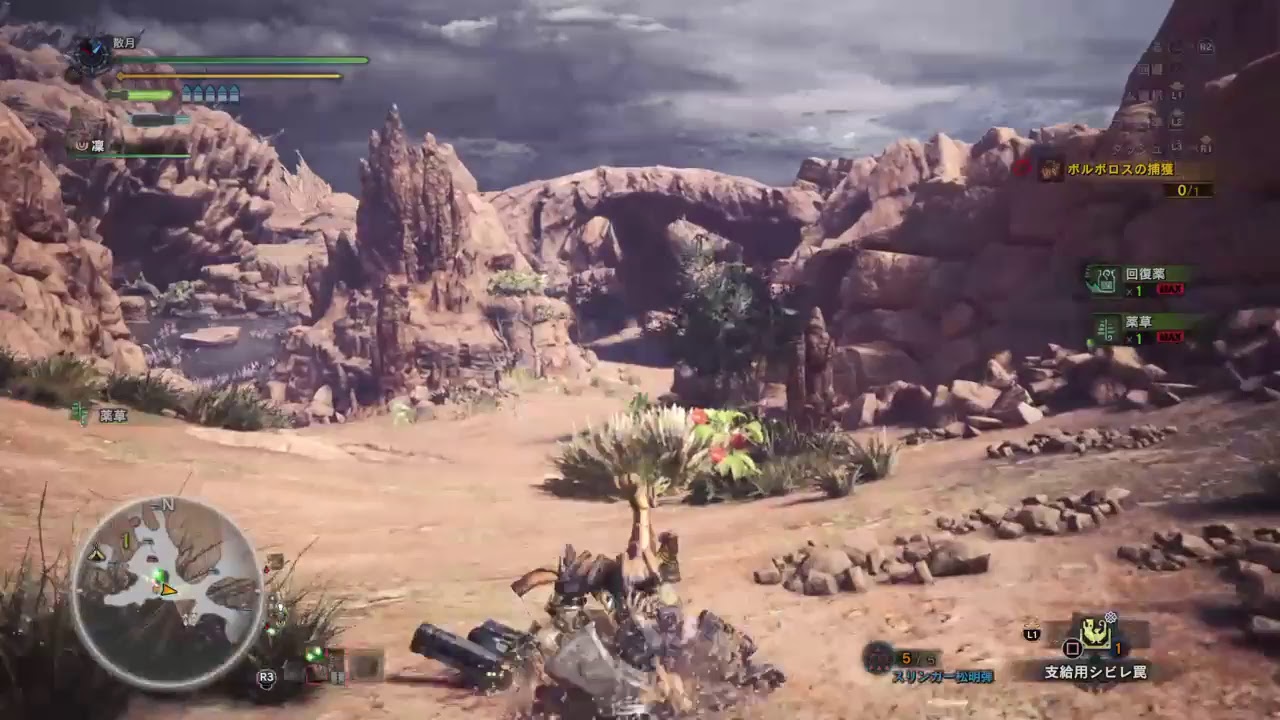 【MHW】モンスターハンターワールド【２キャラ目】＃5