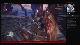 初めてのモンスターハンターワールド【9狩り目】