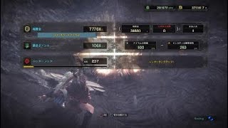 モンスターハンター：ワールド_20180624193727