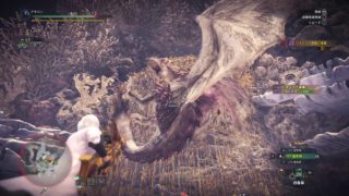 モンスターハンター：ワールド_20181008003829
