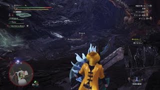 モンスターハンター：ワールド_20181002071807