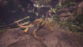 [モンスターハンター：ワールド] アナベル狩人 5 ケストドンは不穏とともに