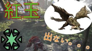 〔モンスターハンターワールド〕紅玉出るまでリオレイア倒す！　始めたら思わぬ結果に！？(既に20回以上やってますw)