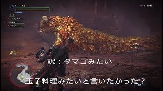 MHW モンスターハンターワールドマムタロトの出会い