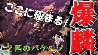 化け物と素人が闘った結果…？？【モンスターハンターワールド実況】
