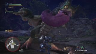 モンスターハンターワールド　リョナ