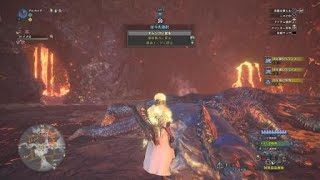 モンスターハンター：ワールド_20181014165637