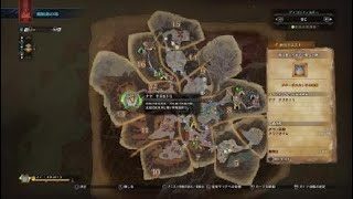 モンスターハンターワールド　［記録］王ナナ　チャージアックス