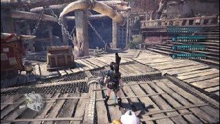 モンスターハンター：ワールド_歴戦王ナナ初見野良