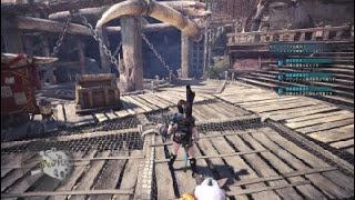 モンスターハンター：ワールド_歴戦王ナナ初見野良