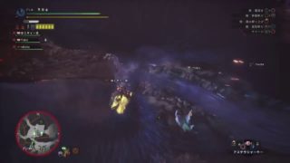 【MHW】阿鼻叫喚！野良マルチ歴戦王ナナ・テスカトリ★他成行【モンスターハンターワールド】