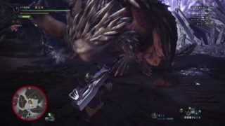 モンスターハンター：ワールド_20181012204158