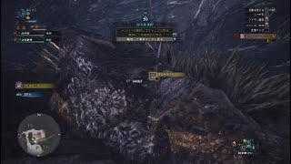 モンスターハンター：ワールド_20181020225906