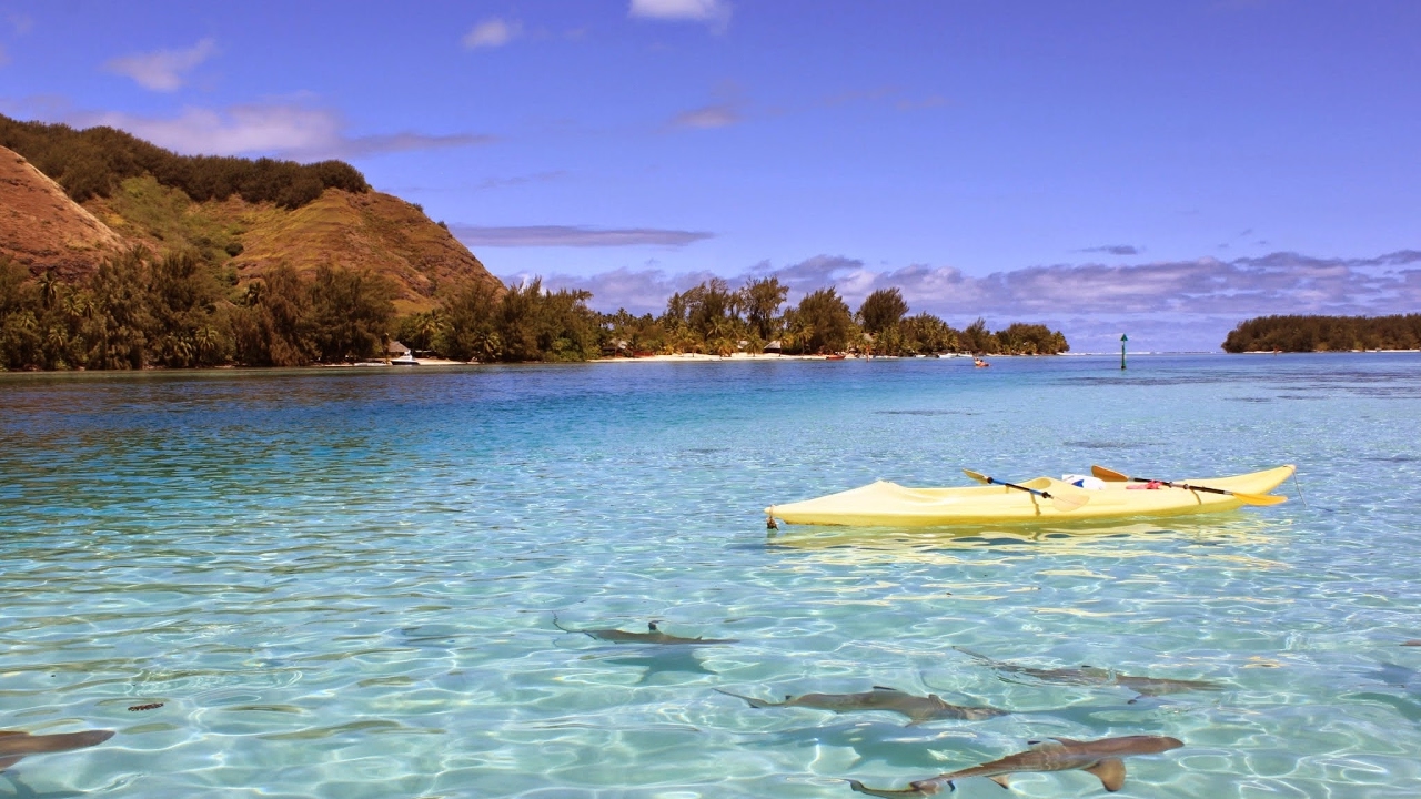 マインクラフト1から露天掘りPart 14色々やる｜