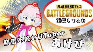 【PUBG実況】ドン勝以上の輝き・・・見たくない？【Vtuber】