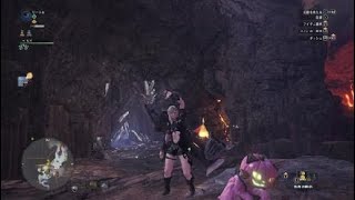 モンスターハンター：ワールド　当たらない当てられるソロナナ王(T_T)