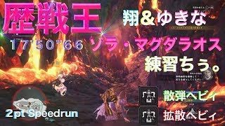 モンスターハンターワールド(歴戦王ゾラ・マグダラオス)ヘビィ 2pt MHW(Arch tempered zorah magdaros)HBG 2hunters 17'50