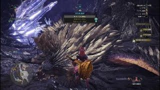 モンスターハンター：ワールド_20181024015741