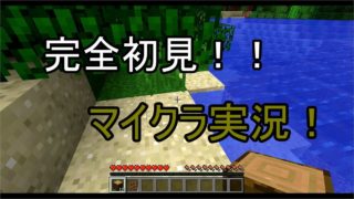 【マインクラフト Switch版】ド素人二人でサバイバル！！7日目　雑談