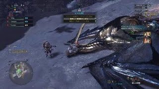 レイギエナ　閃光弾　モンスターハンター：ワールド_20181019051431