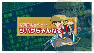 ツバサの！ドラゴンボールファイターズ　キャラ決め