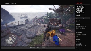 モンスターハンターワールド　祭り時々ナナ　同行者、初見様大歓迎