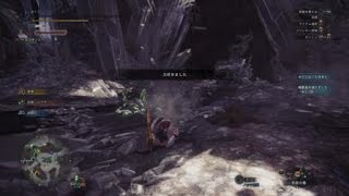 モンスターハンター：ワールド_20181008145556