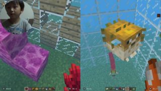 Switch版マインクラフトで水族館を作る
